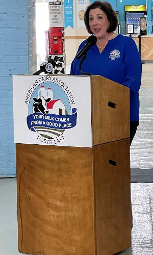 Traditional wood Podium